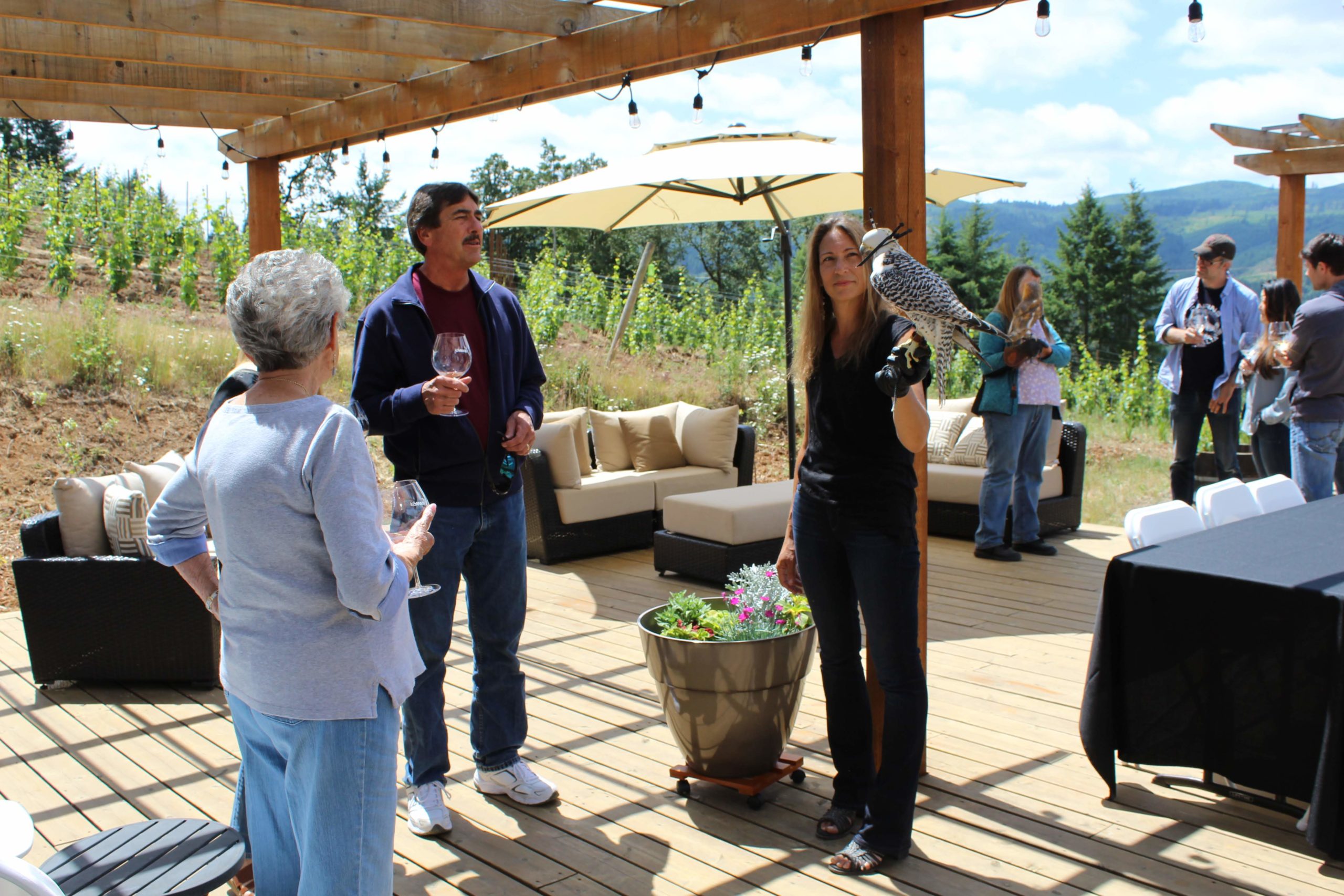 Birds of Prey Encounter at Chris James