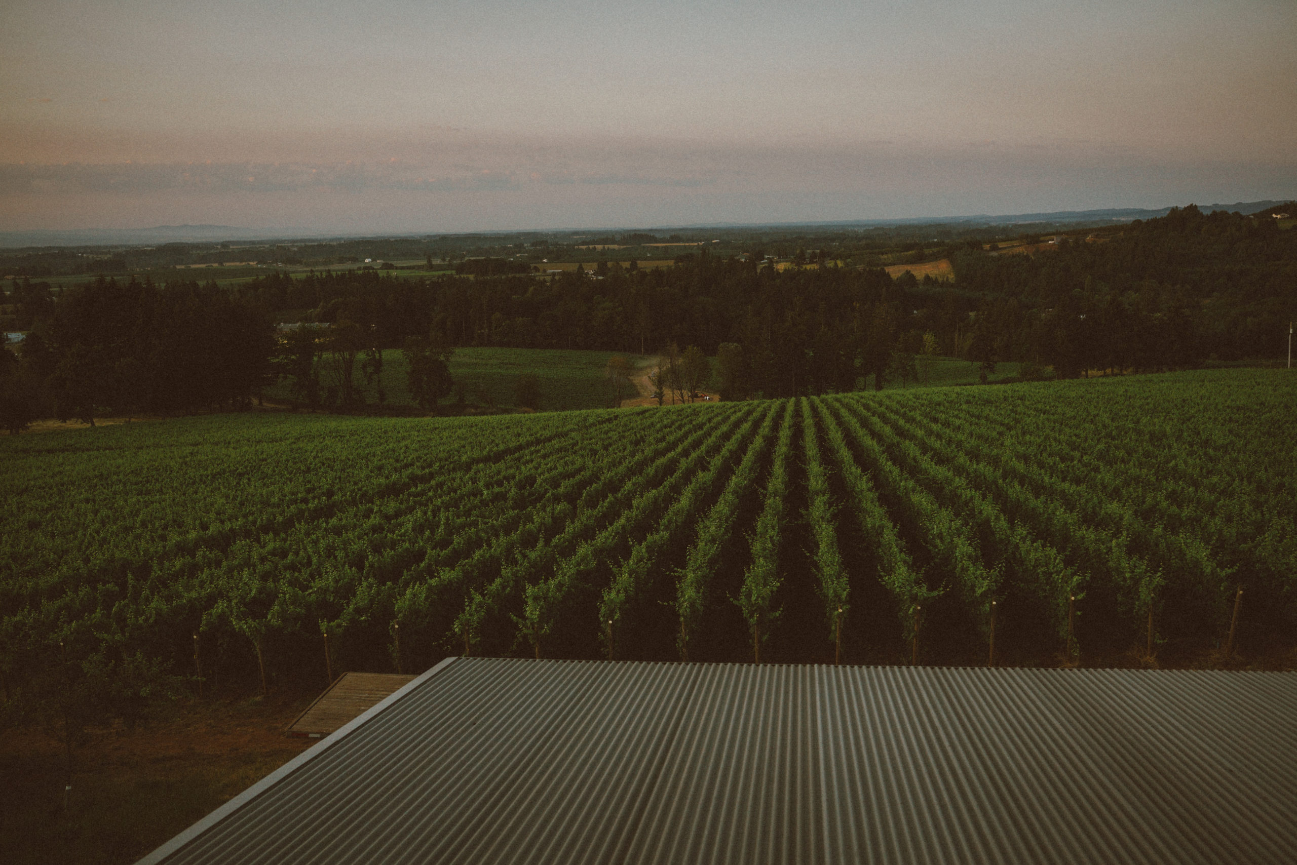 View of the Rolling Hills from the Patio at Domaine Roy & fils