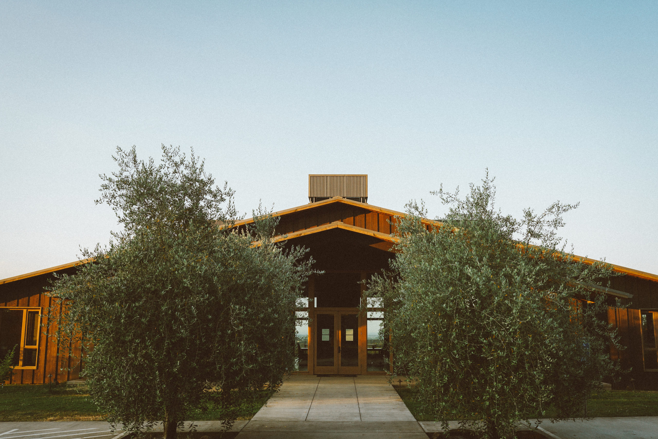 Domaine Roy & fils Winery Architecture and Olive Trees