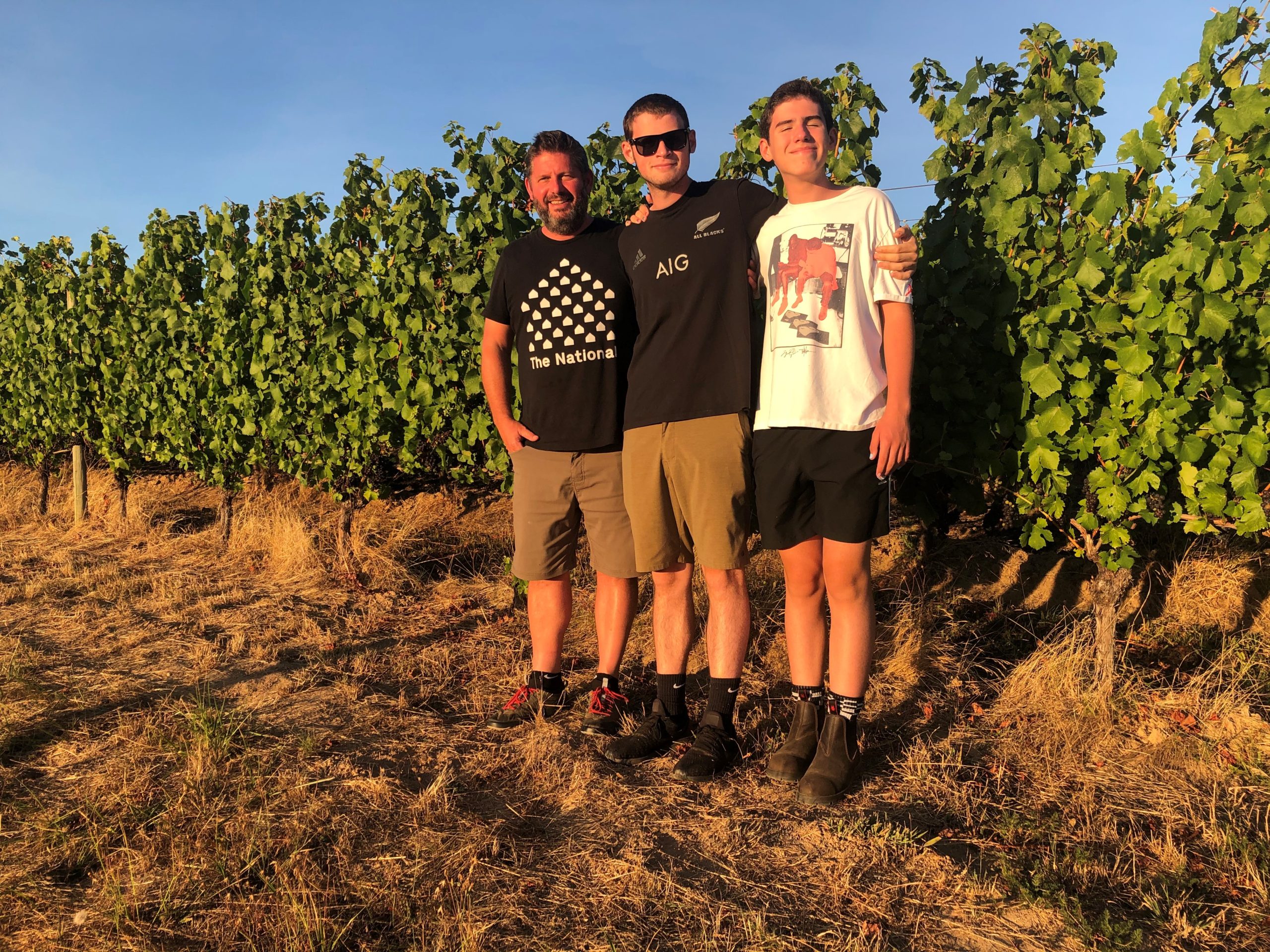 Bergström Wines