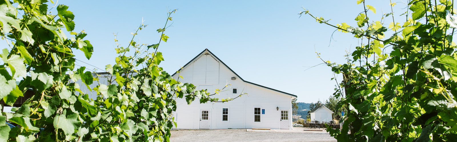 Arborbrook by Cooper Mountain Vineyards
