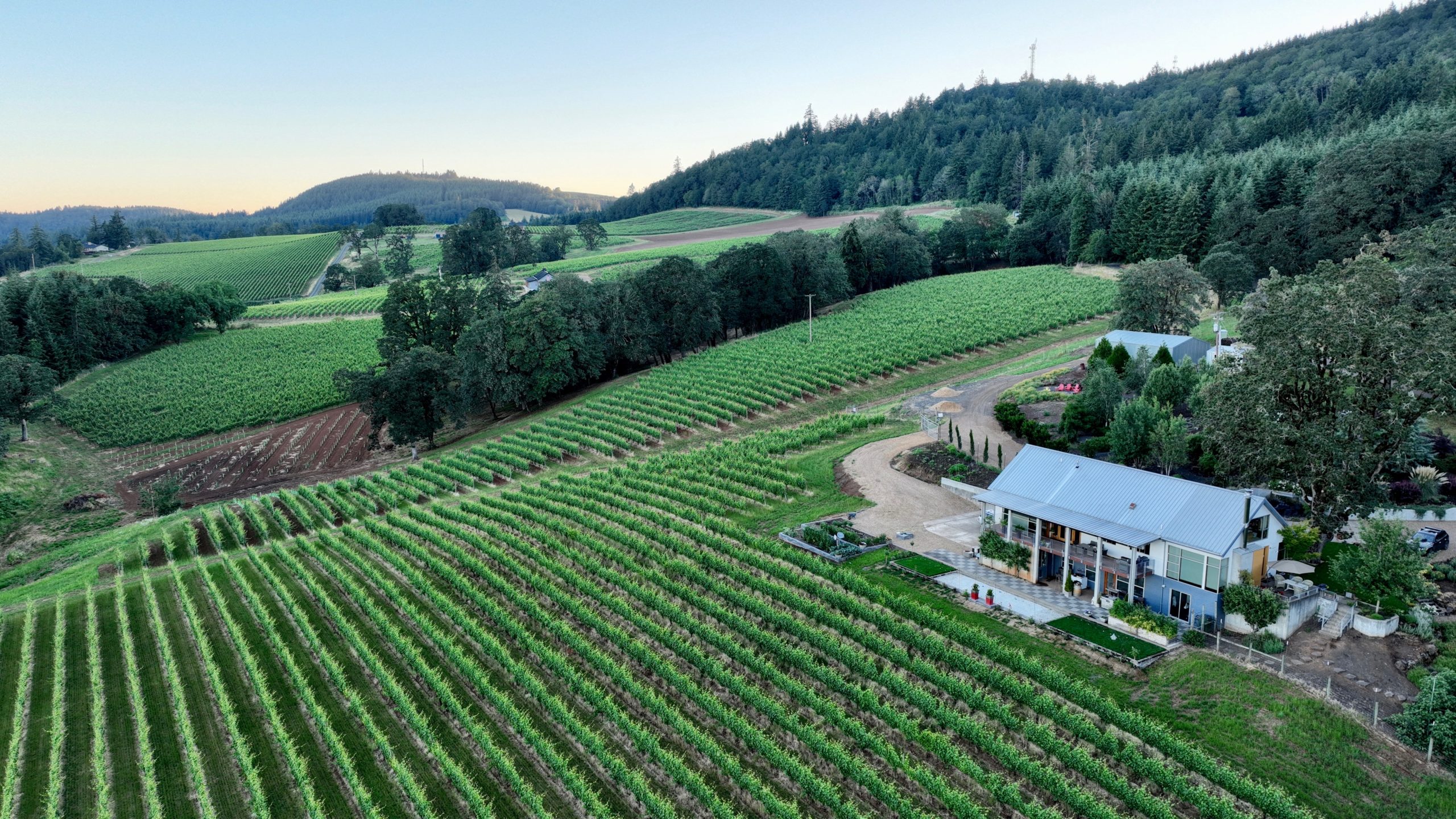 Iterum WInes at the Orchard House Vineyard
