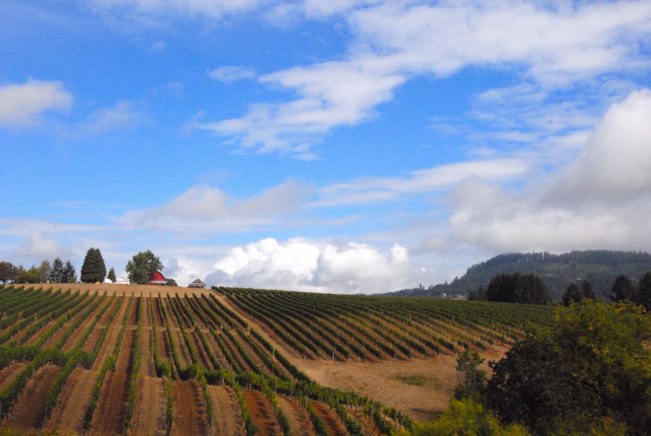 Ridgecrest Wines