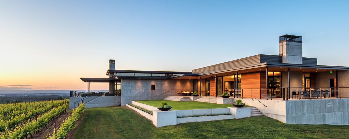 Ponzi Vineyards