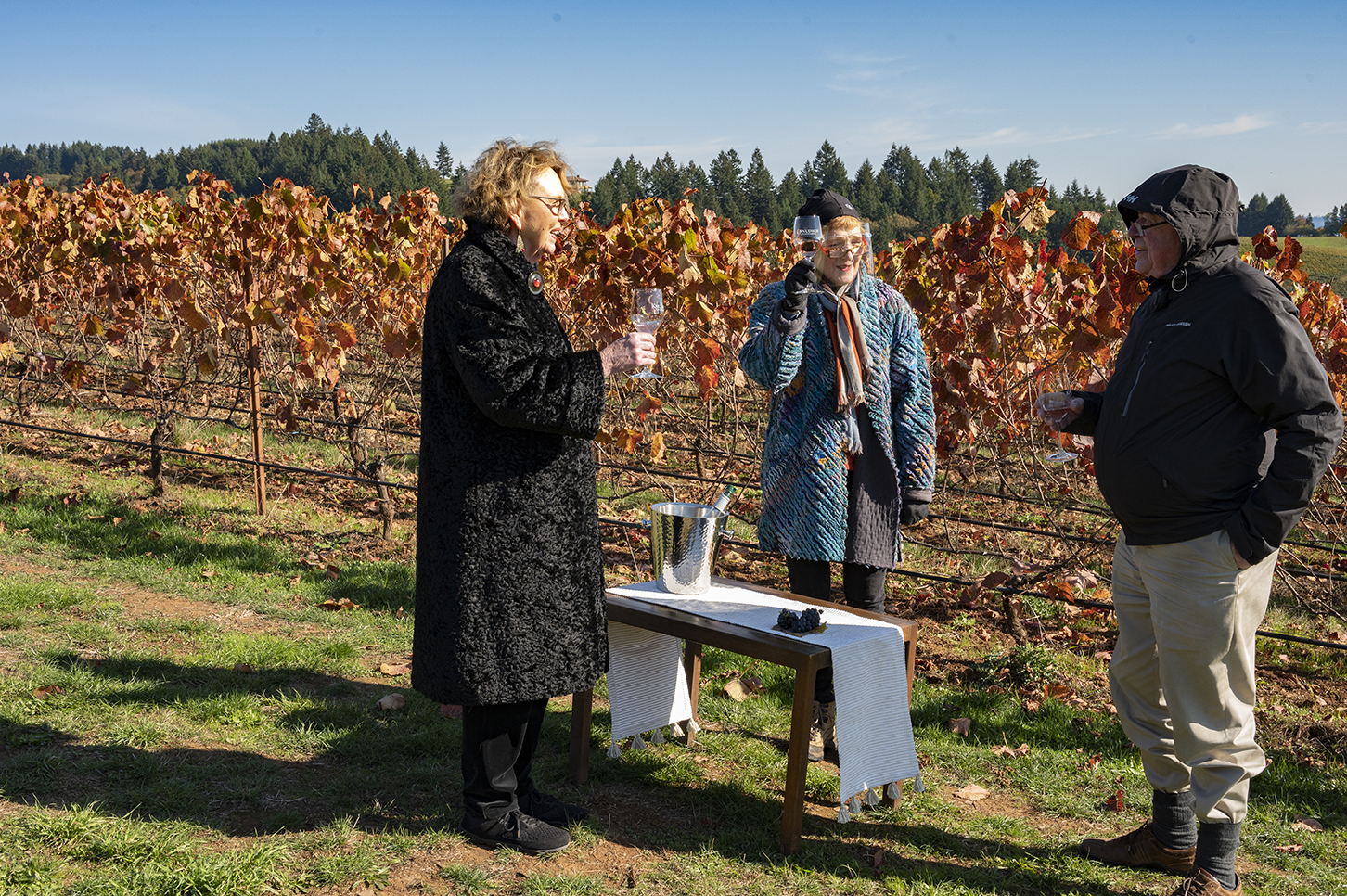 Vineyard Hike, Lunch & Wine Tasting at Knudsen Vineyards