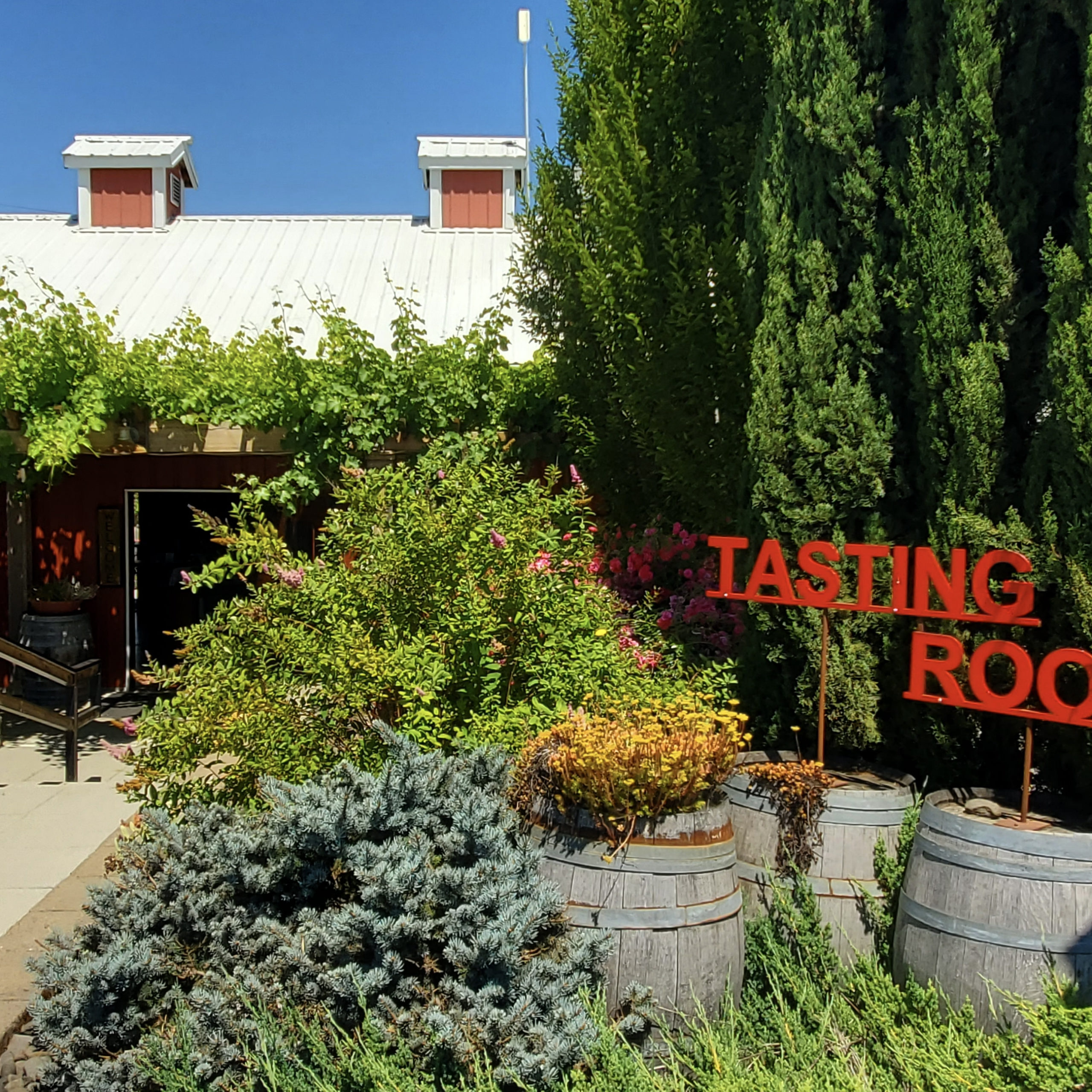 Aurora Vineyards