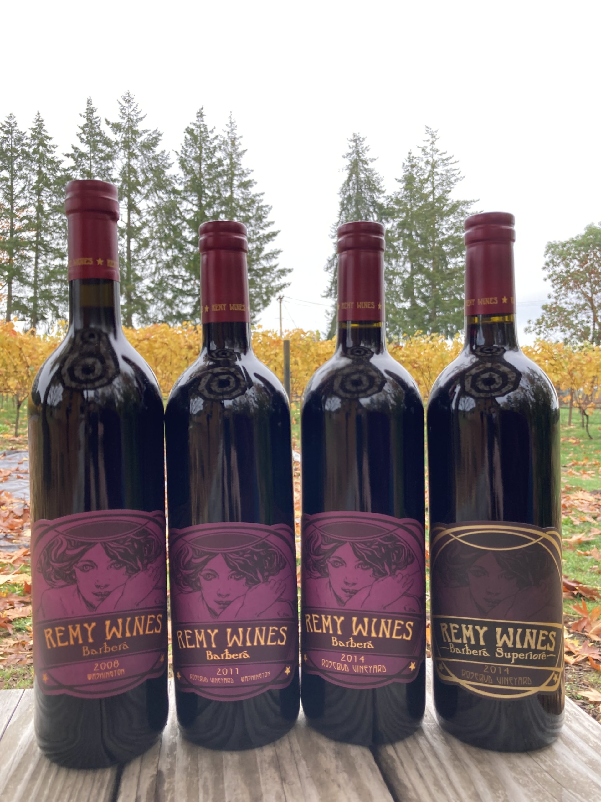 First Sunday Library Barbera Tasting