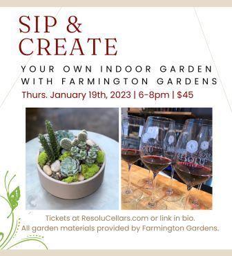 Sip & Create: Design Your Own Succulent Garden