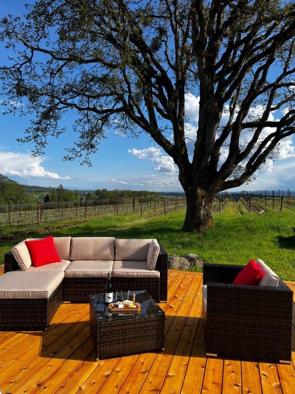 Black Dog Vineyard
