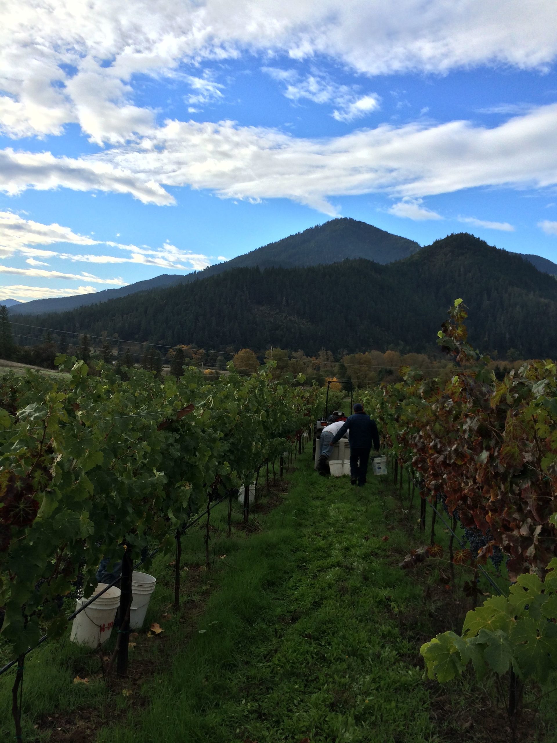 Quady North Winery
