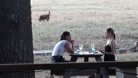 2 women at a picnic table