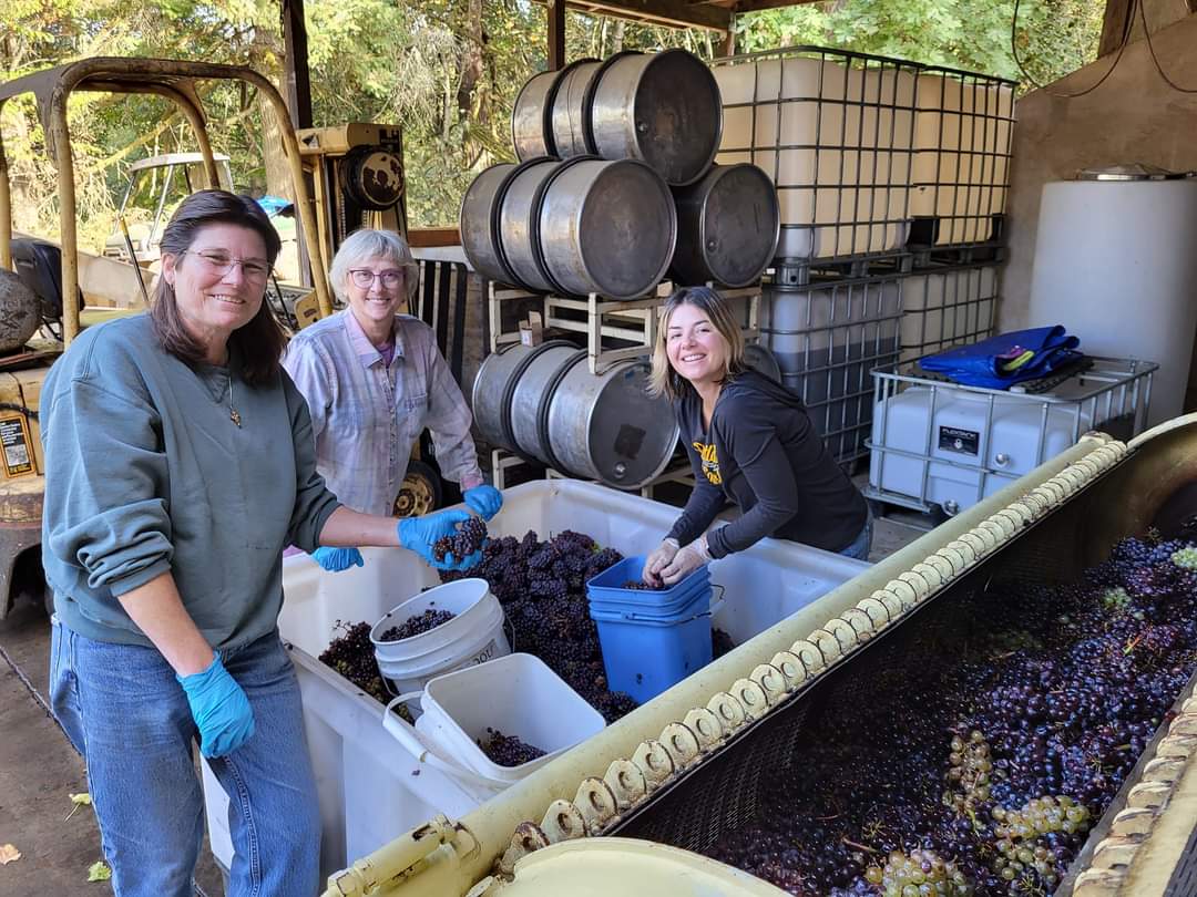 Harvest Team - 2022