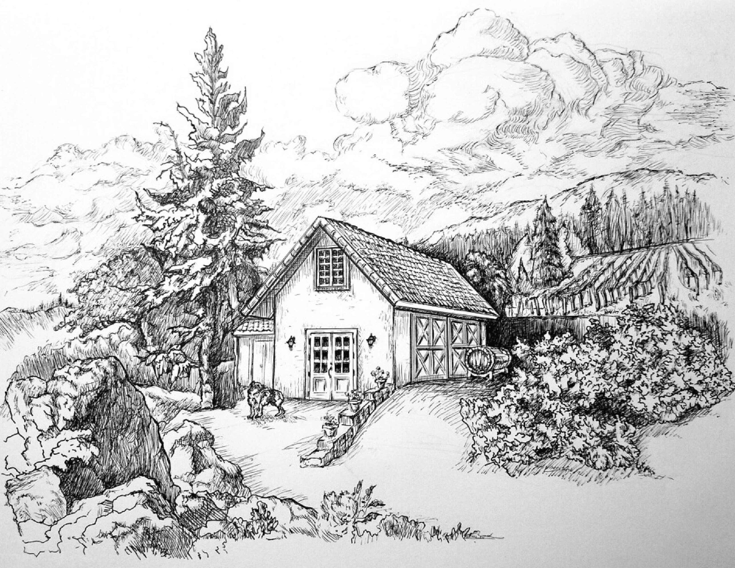 Privé Vineyard