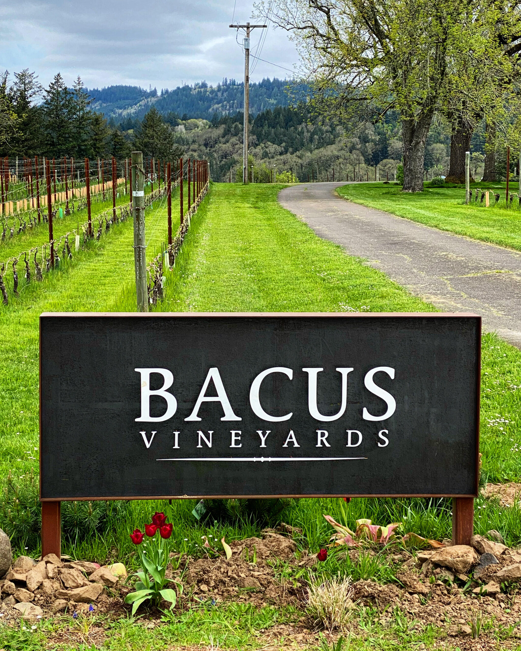 Signage