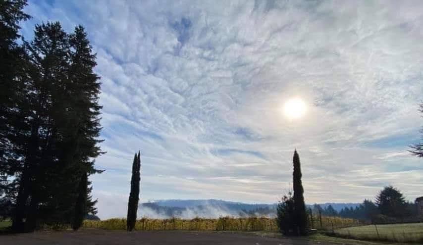 Six Peaks Winery
