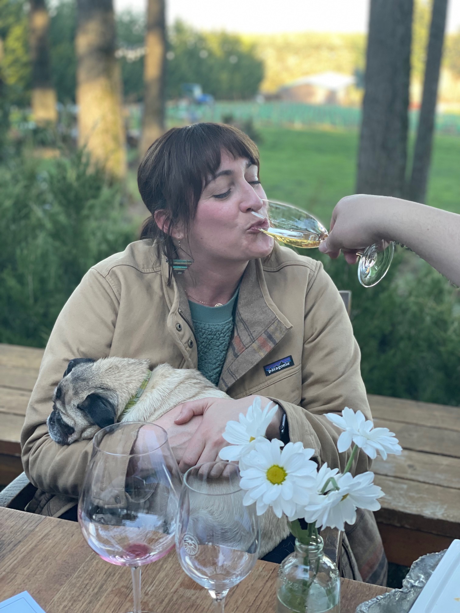 Six Peaks Winery