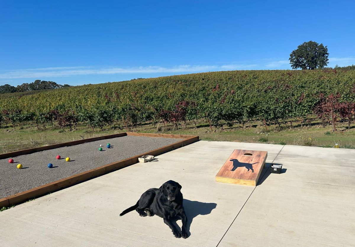 Black Dog Vineyard