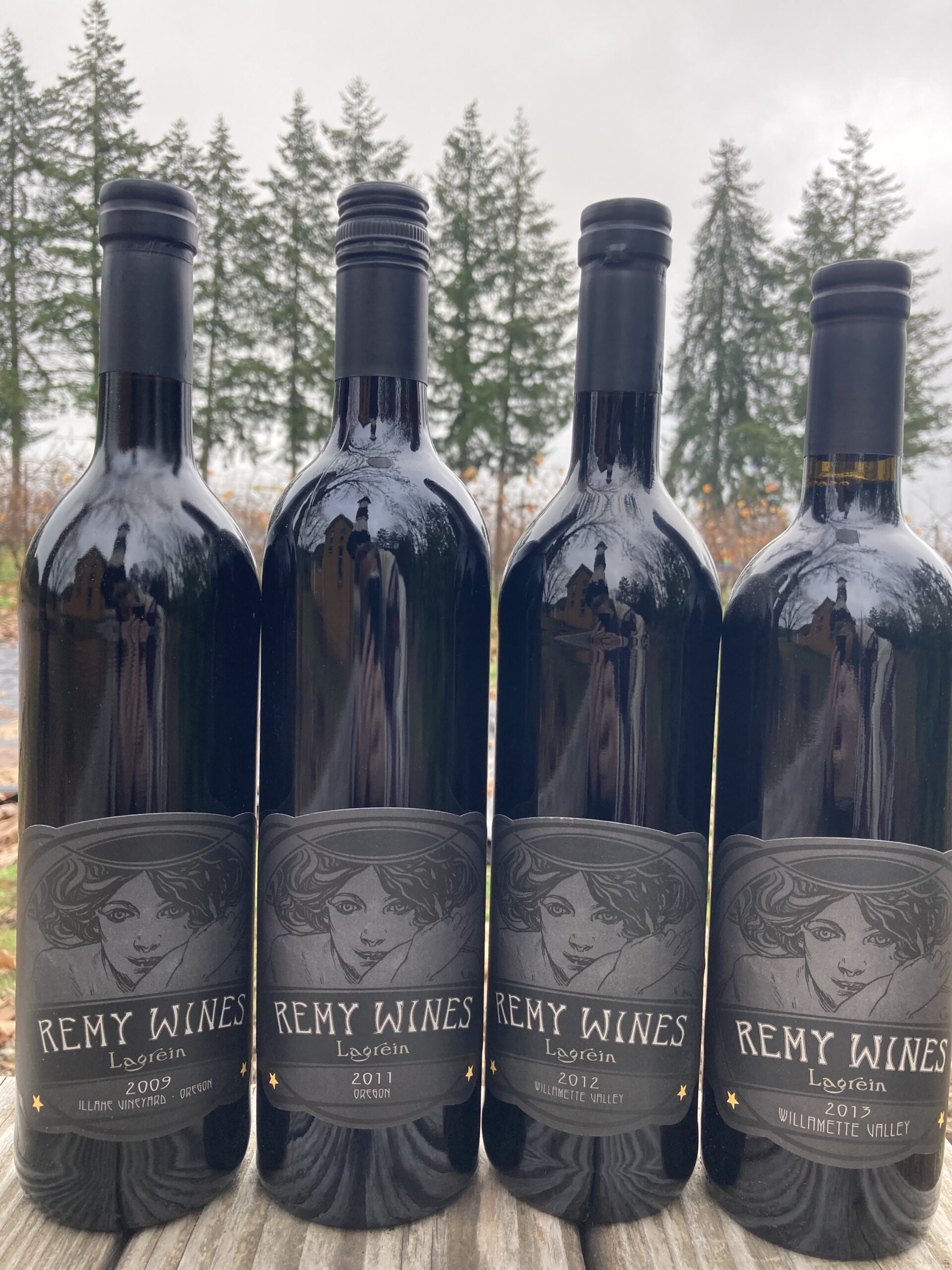 First Sunday Library Lagrein Tasting