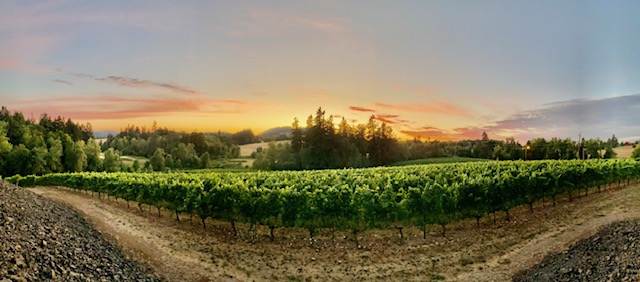 Oswego Hills Vineyard & Winery