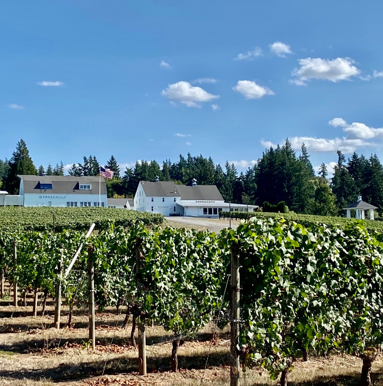 Oswego Hills Vineyard & Winery