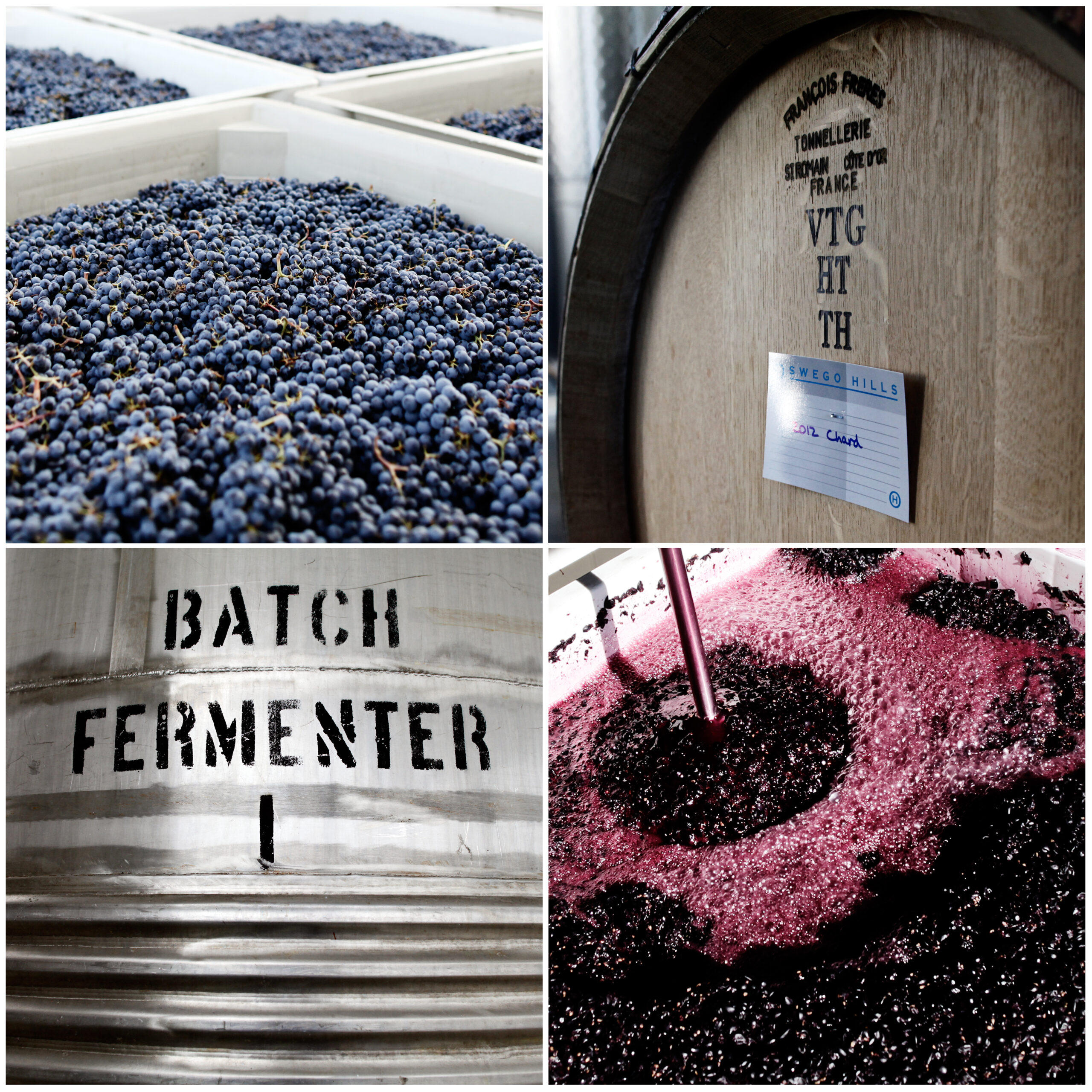Oswego Hills Vineyard & Winery