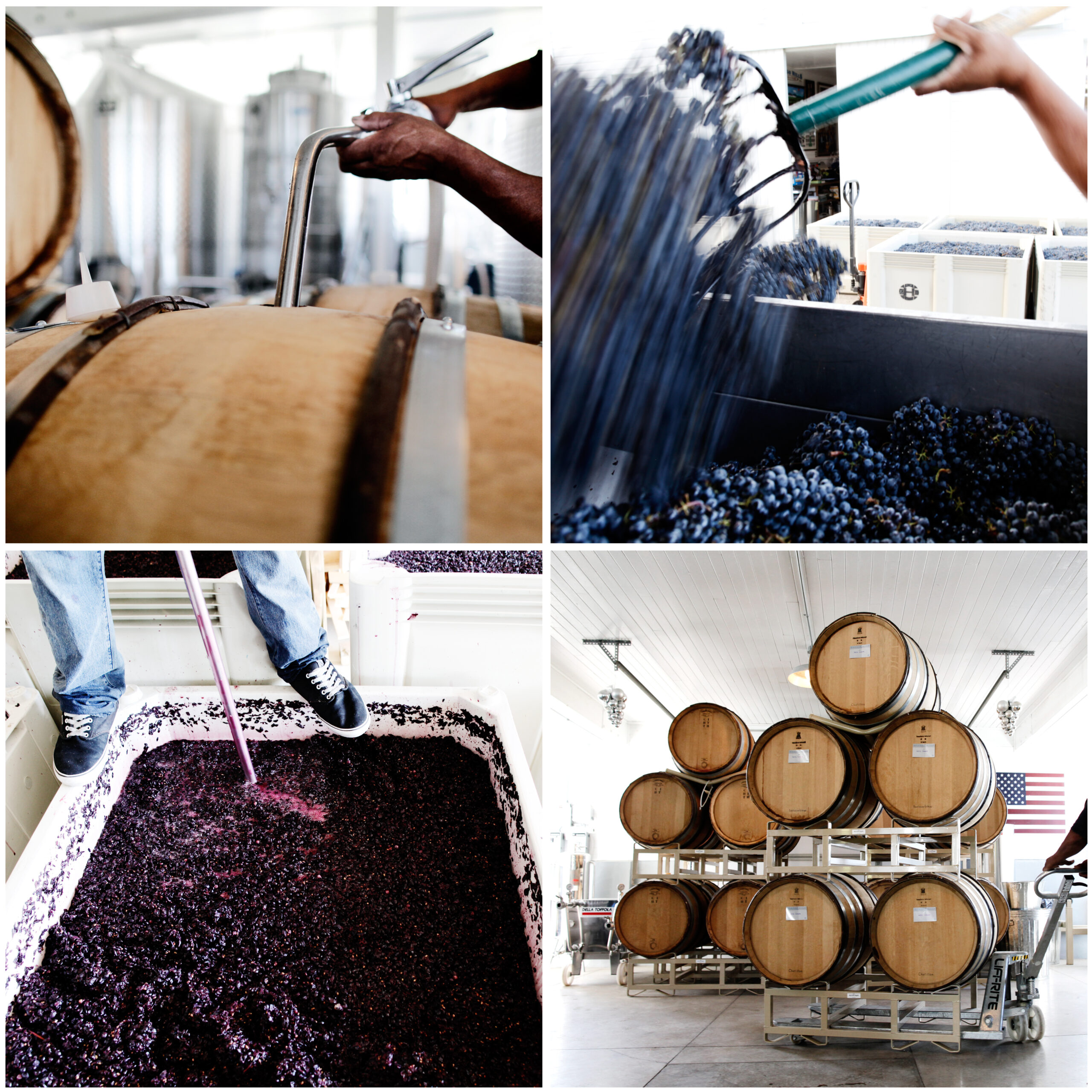 Oswego Hills Vineyard & Winery
