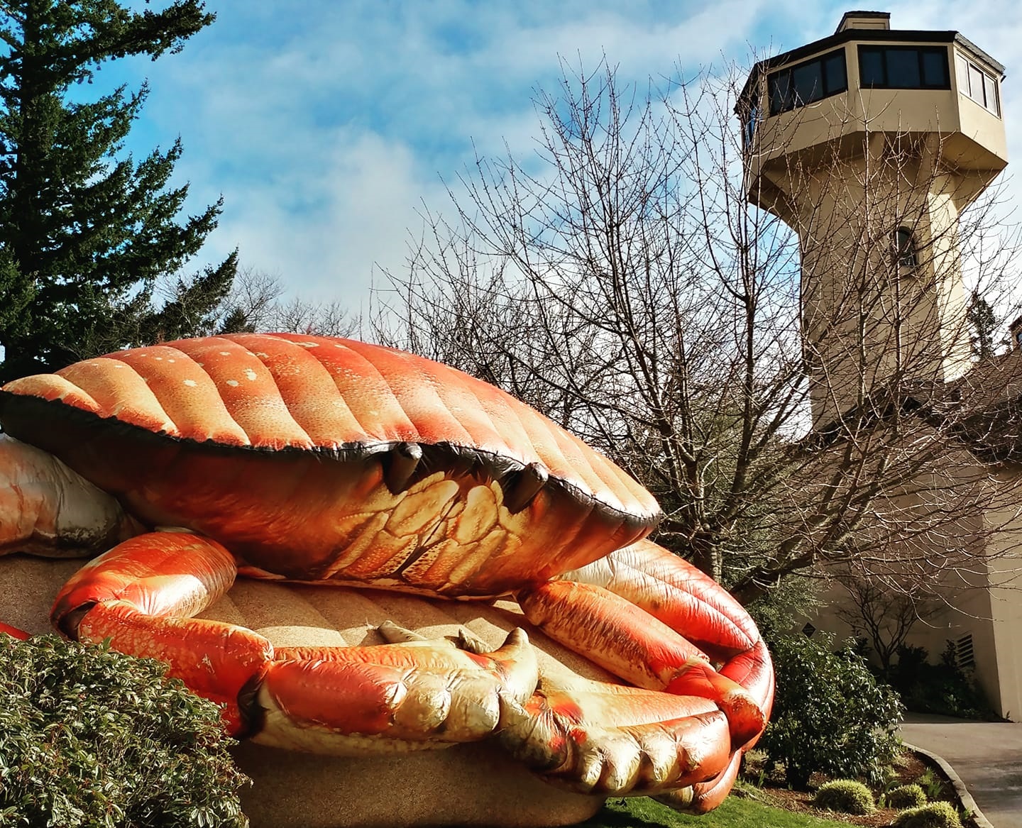 Mo’s Seafood & Chowder Festival