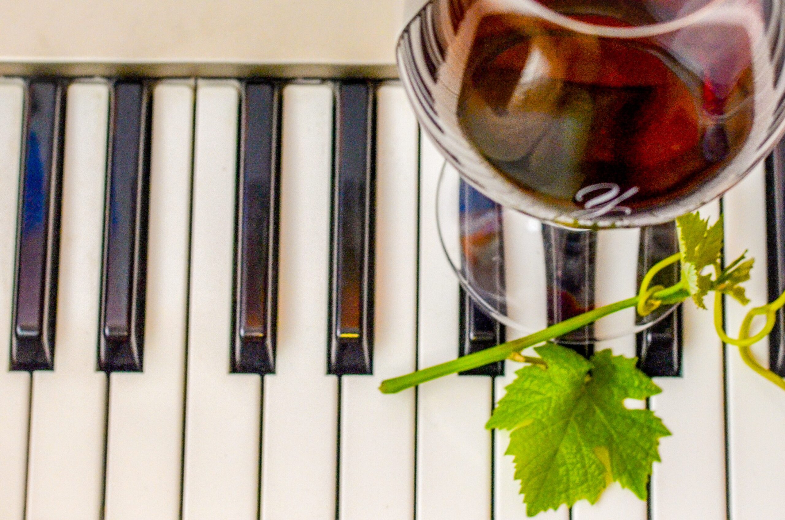 2024 Wine Wednesday Music Series