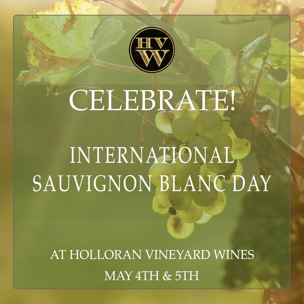 International Sauvignon Day at Holloran