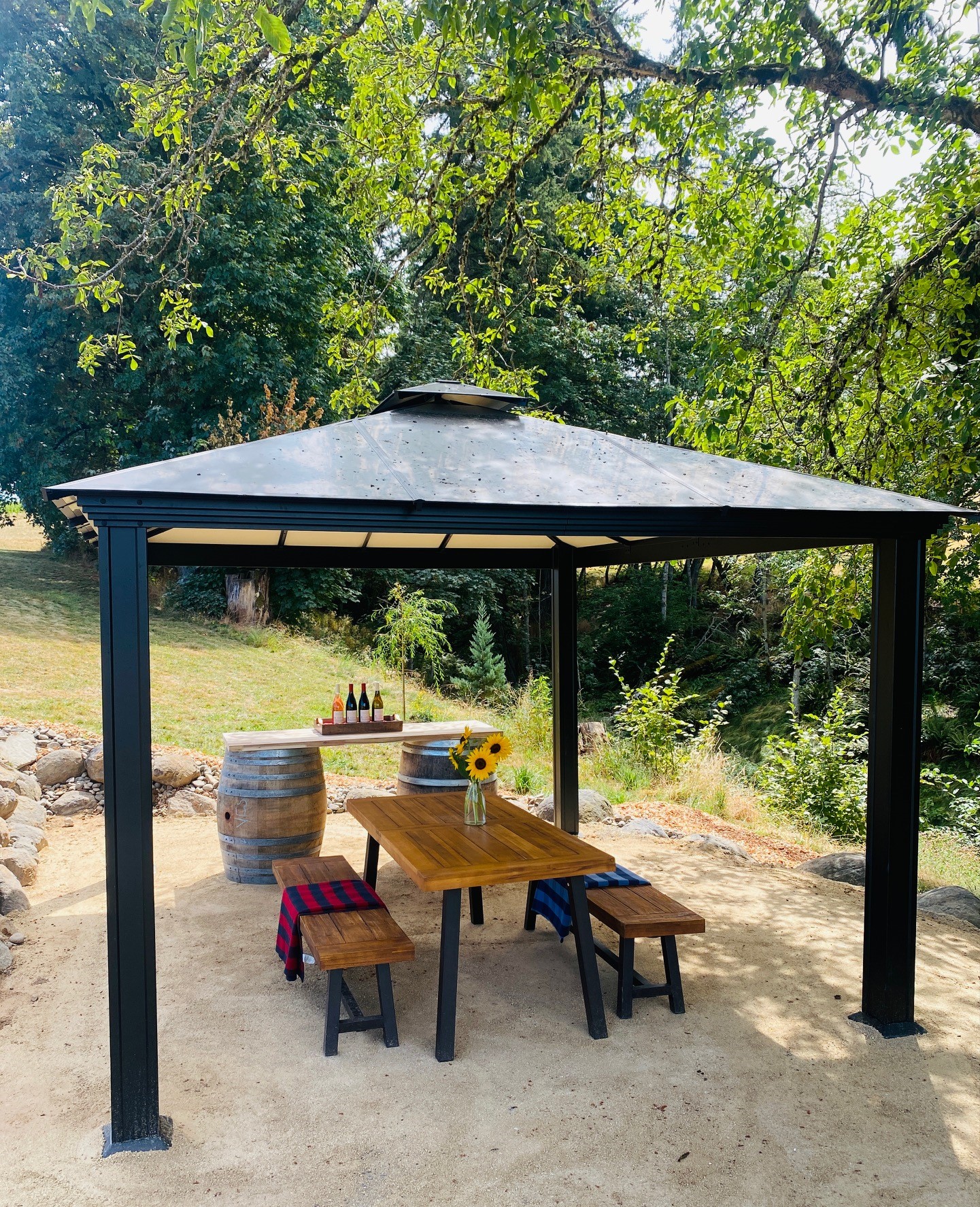 Gemini Vineyards