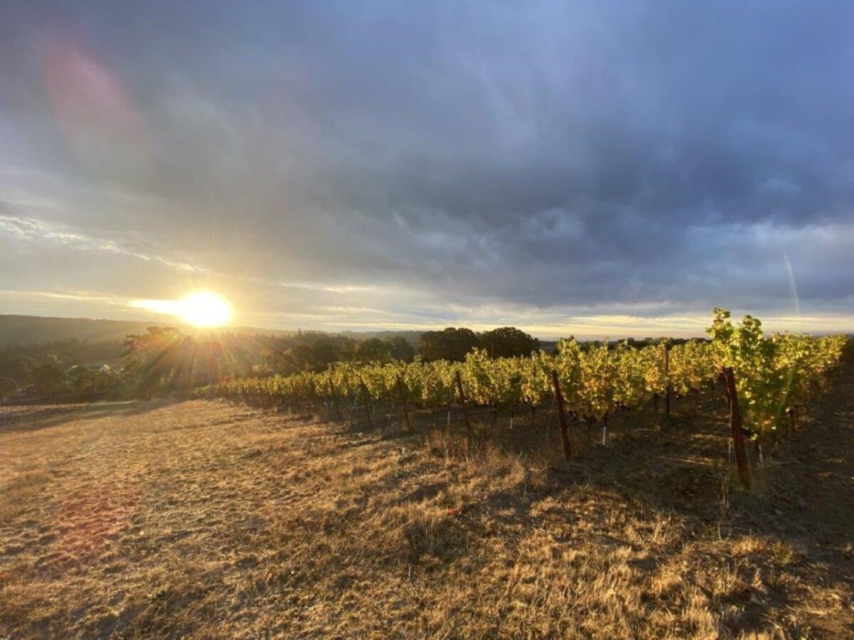 The Portland Wine Bar and Winery Tasting Room