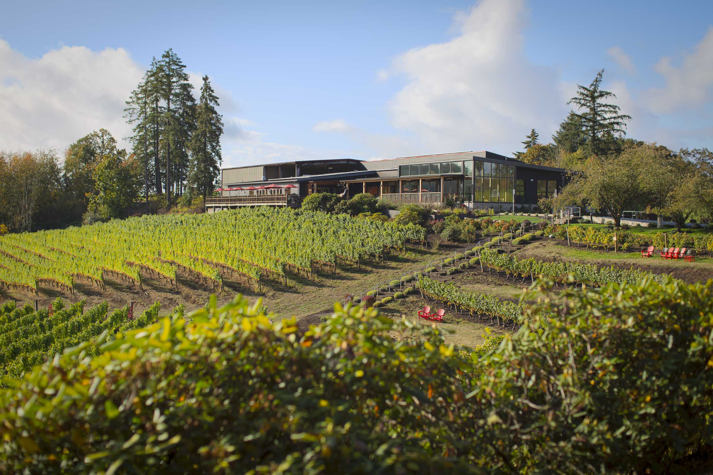 Elk Cove Vineyards in Gaston, OR