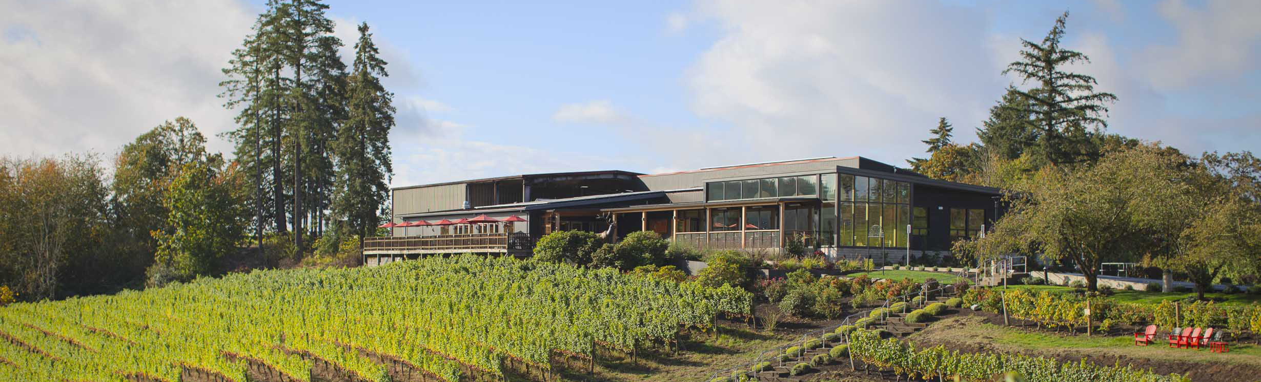 Elk Cove Vineyards