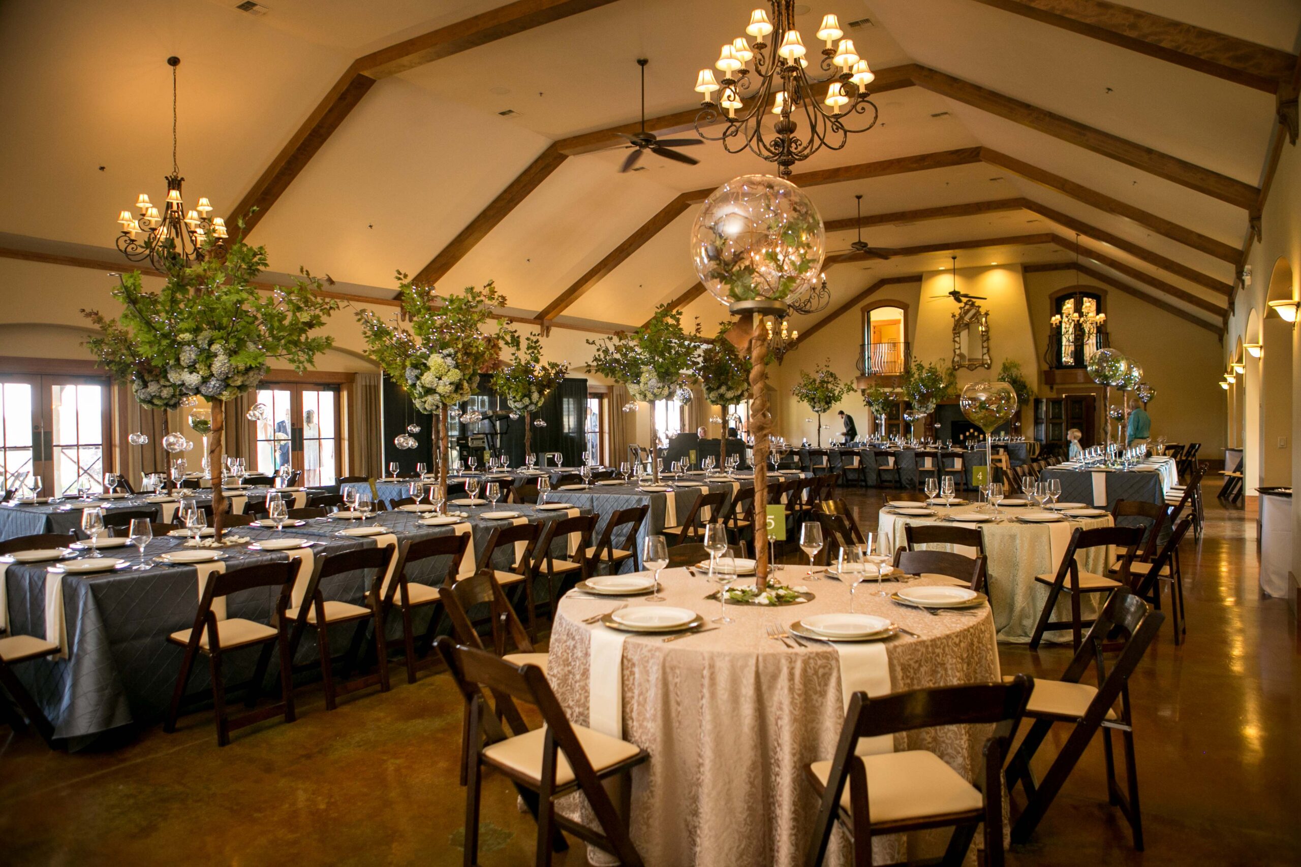 Zenith Vineyard