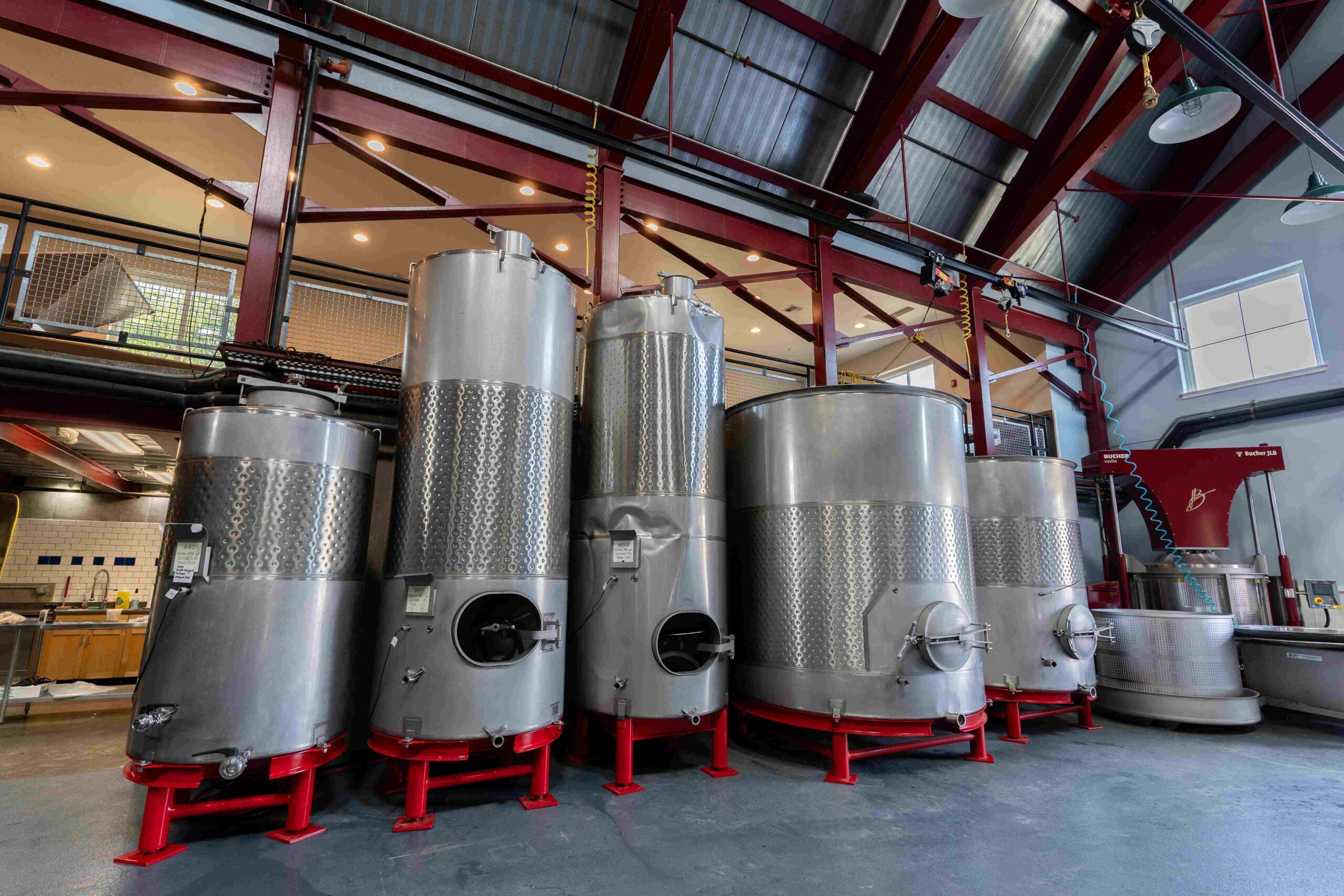 Zenith Vineyard