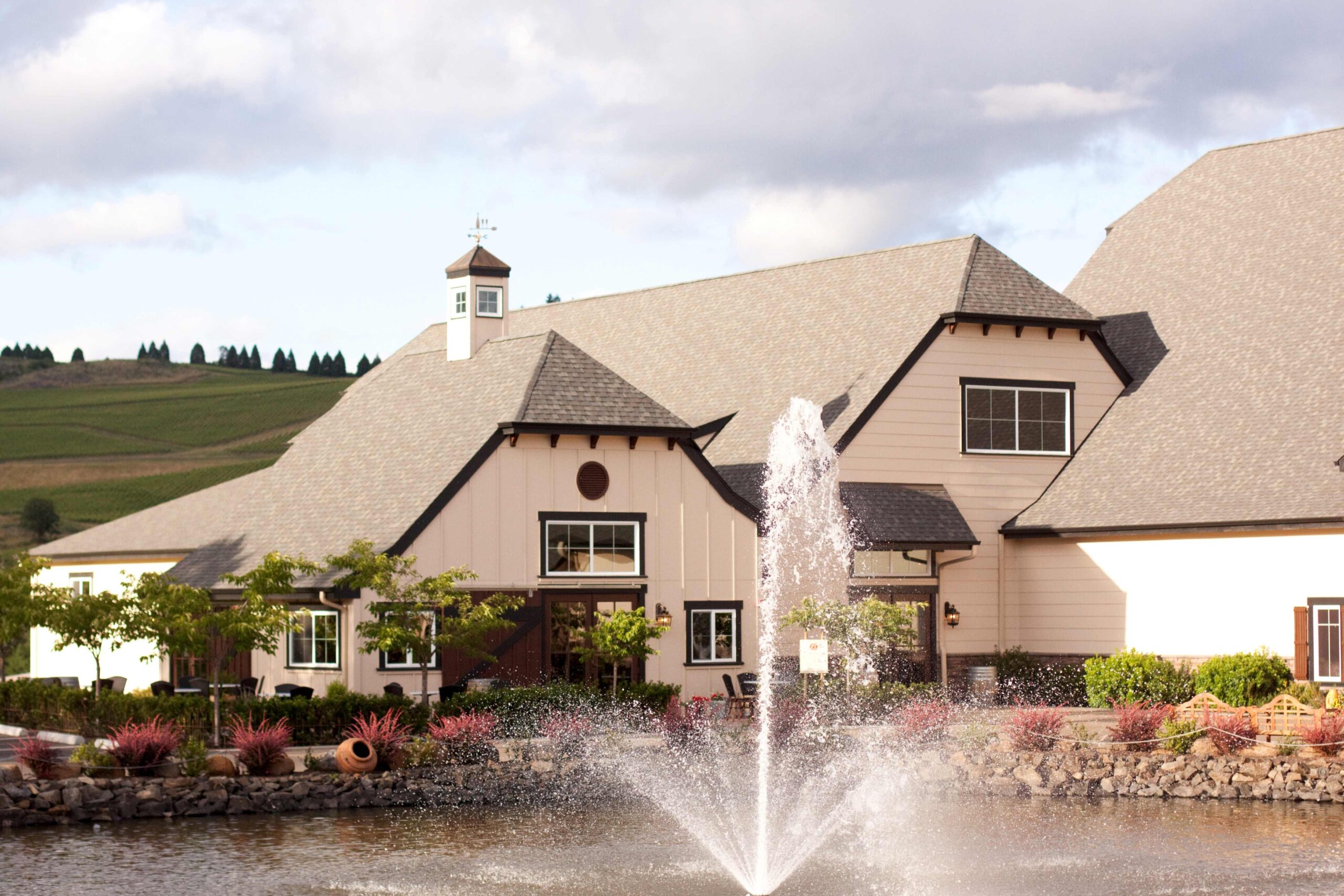 Zenith Vineyard