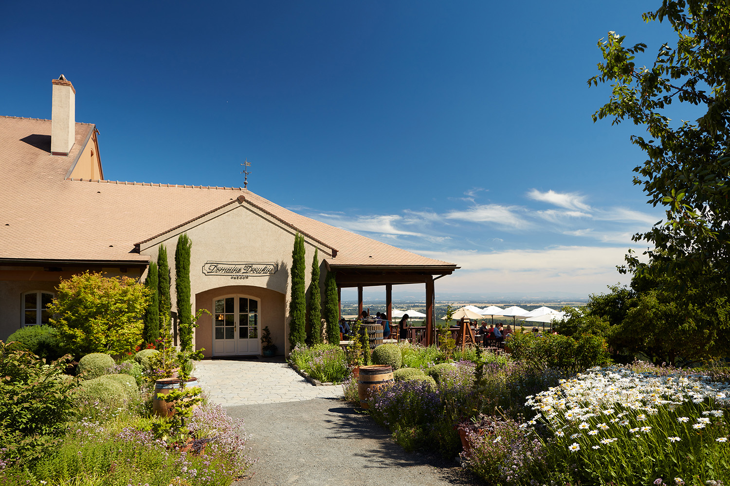 Domaine Drouhin Oregon