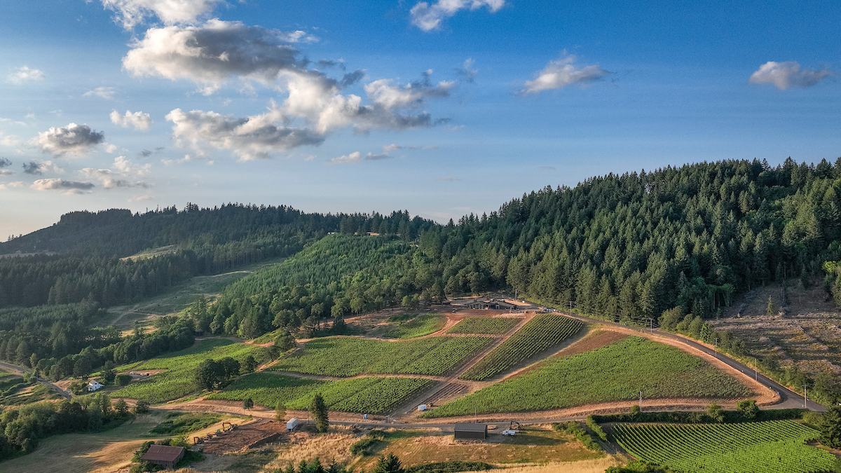 Jachter Family Wines