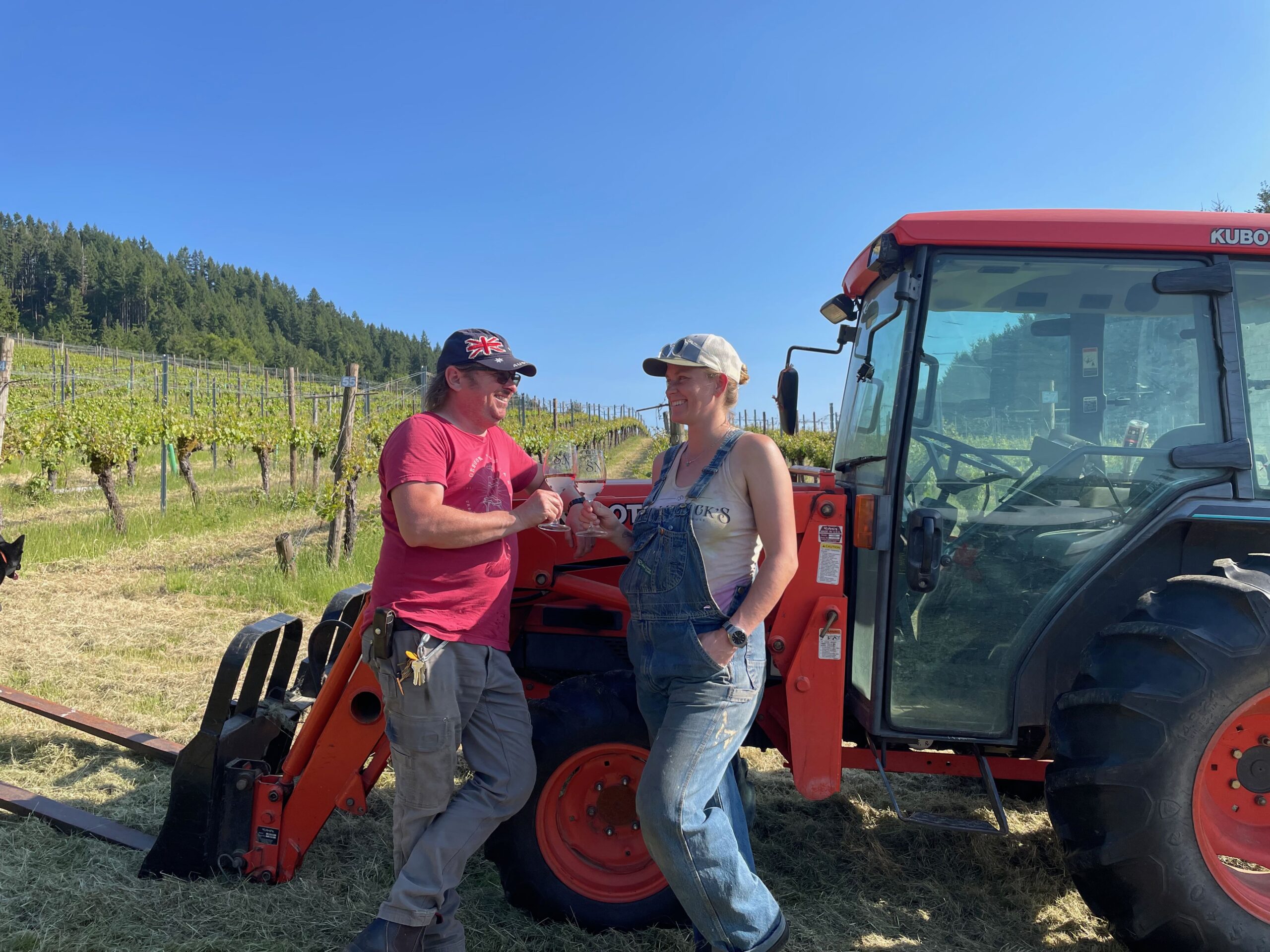 Haines Creek Vineyard & Tasting Room
