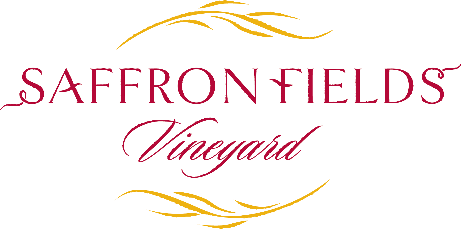3rd of July Firework Show Logo