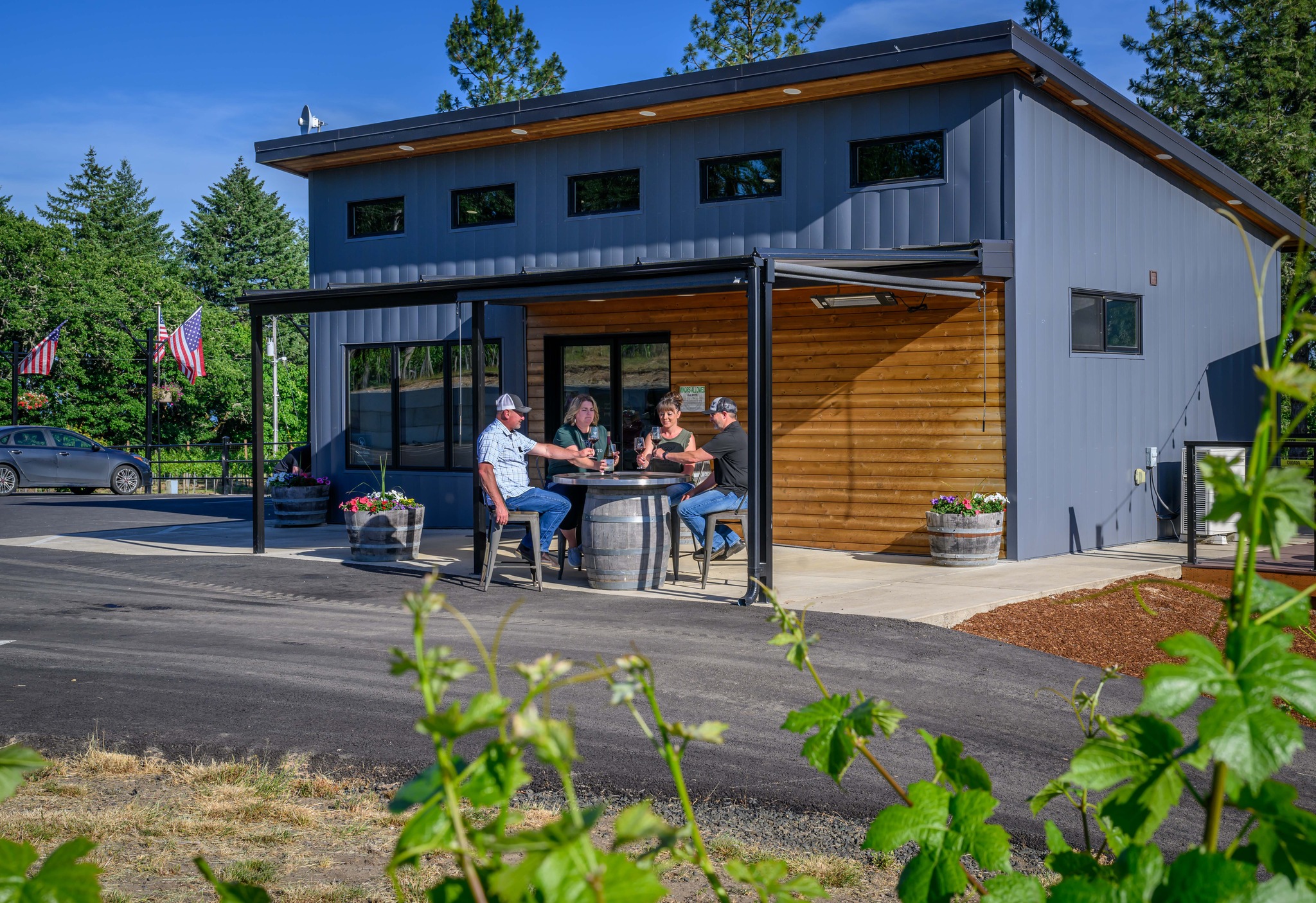 Benedetto Vineyards