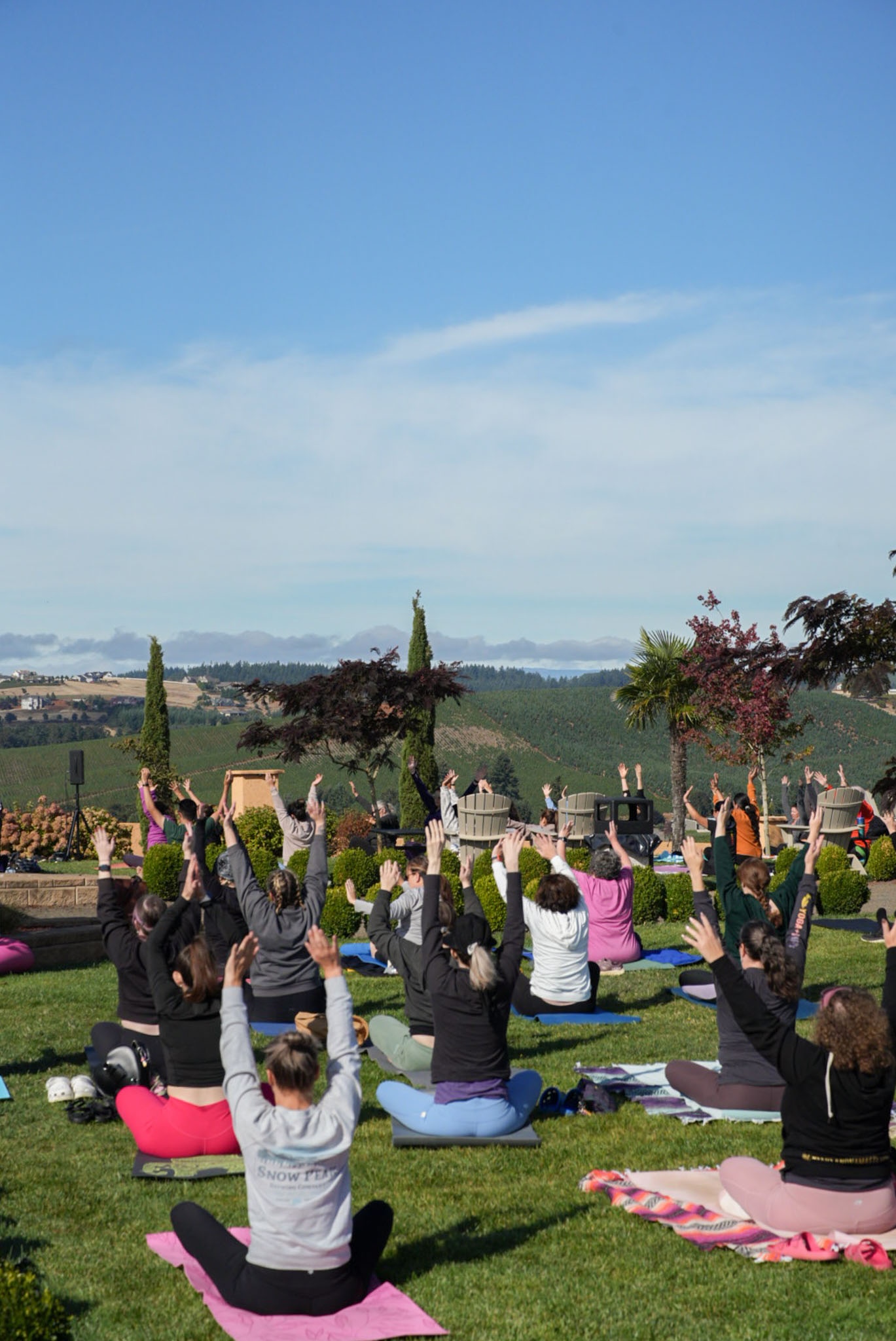 Yoga + Wine