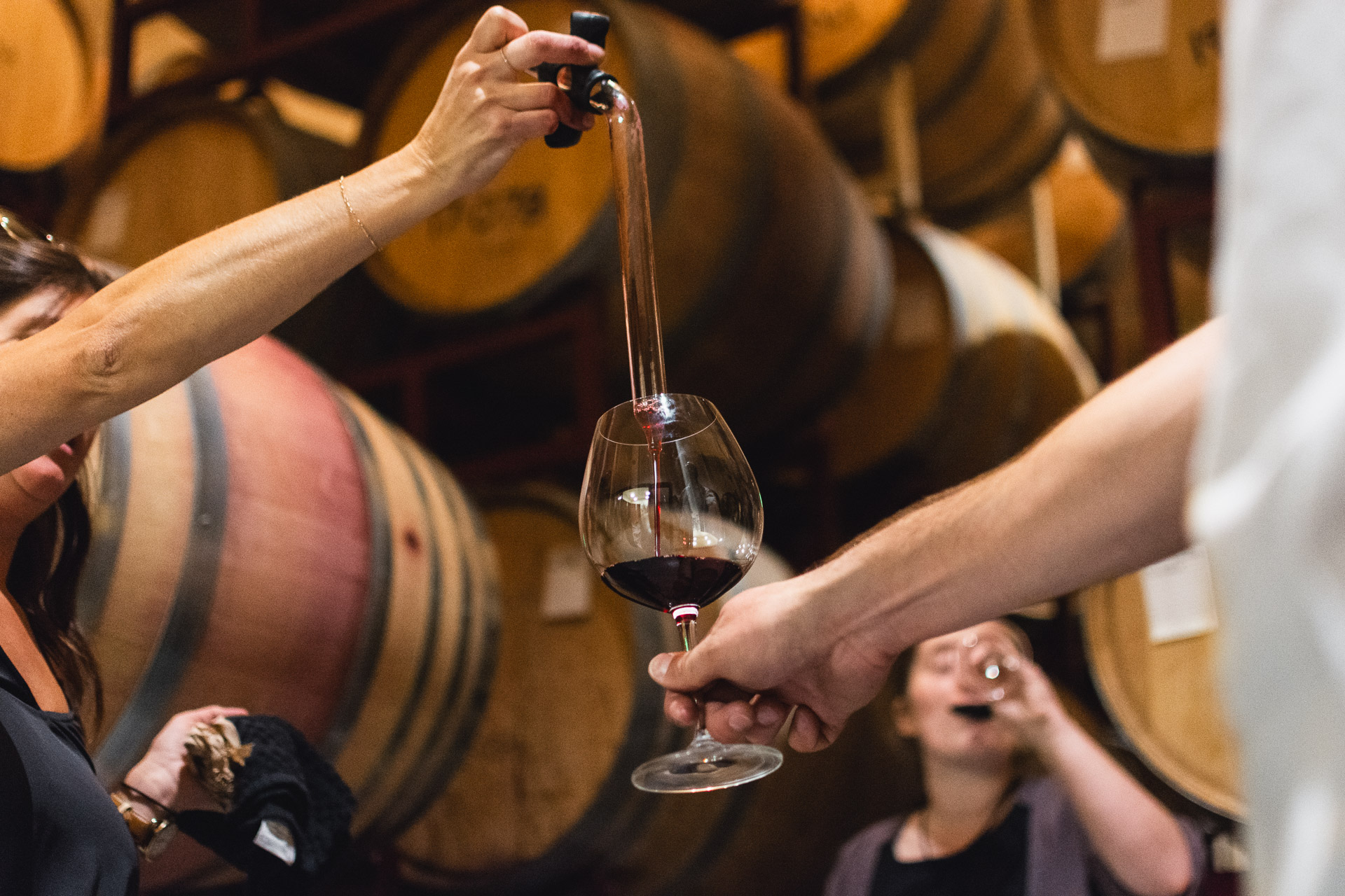 Root to Barrel: Exploratory Hike and Sip