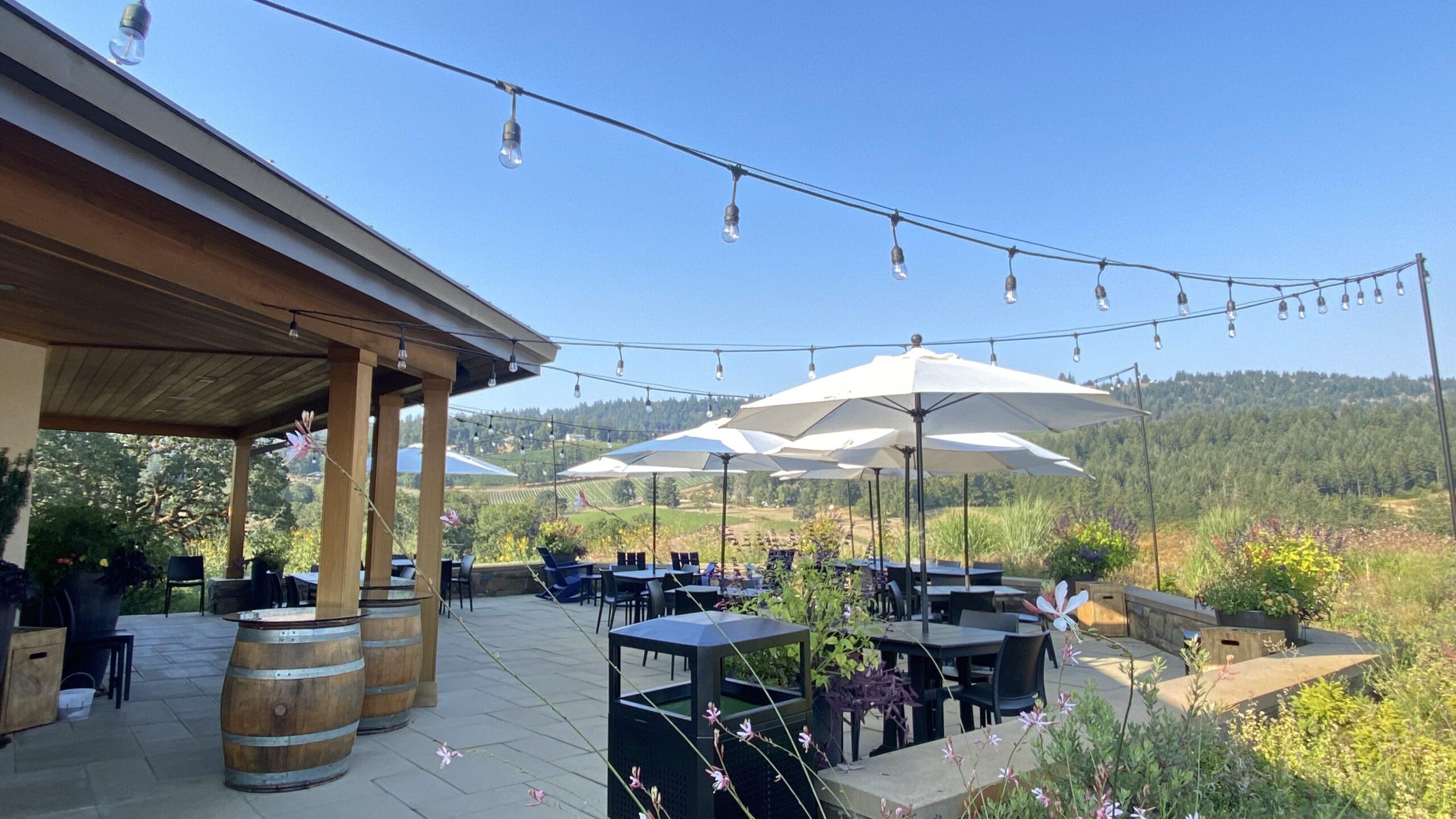 Yoga + Wine at Appassionata Estate with Now Yoga of Portland