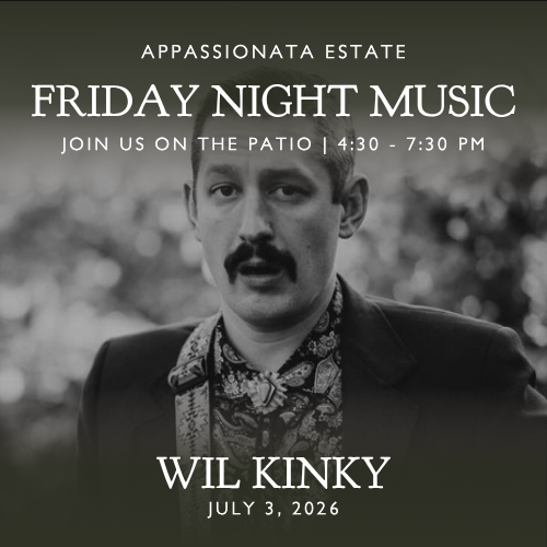 Wil Kinky at Friday Night Music at Appassionata Estate