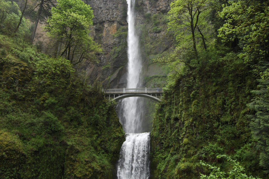 columbia river gorge wine tour