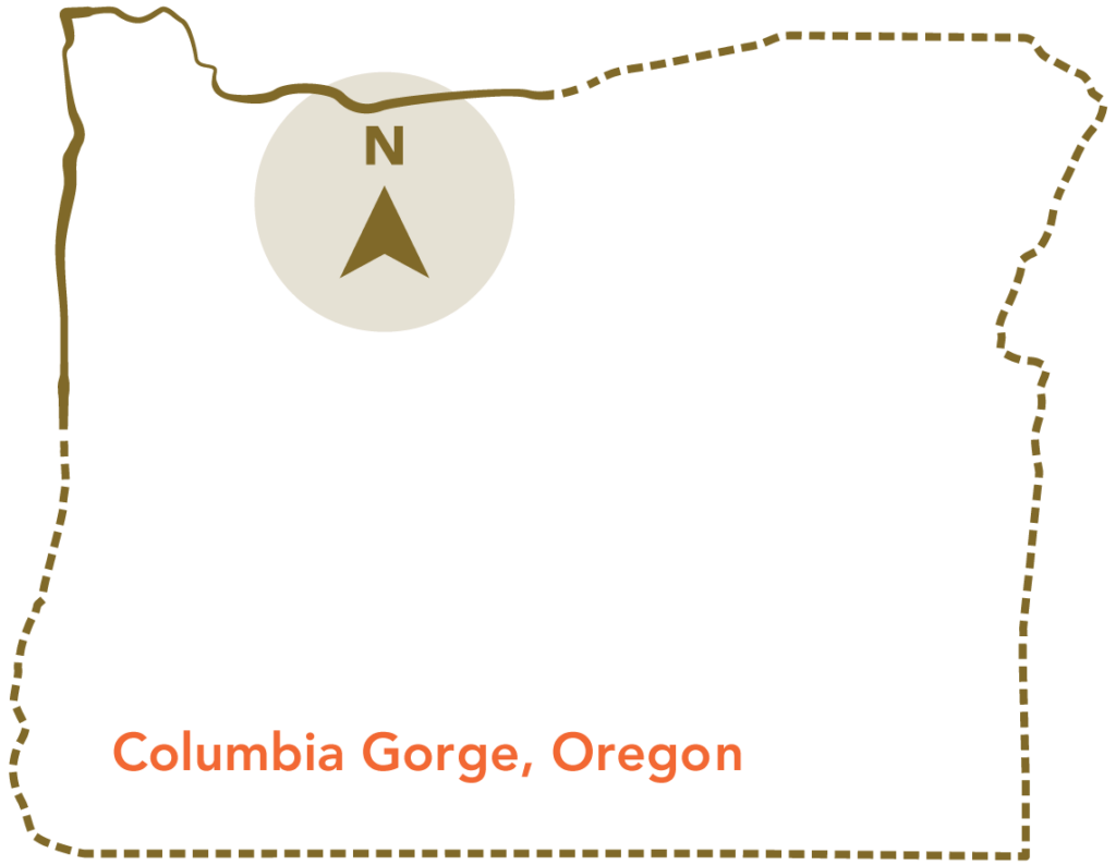 columbia river gorge wine tour