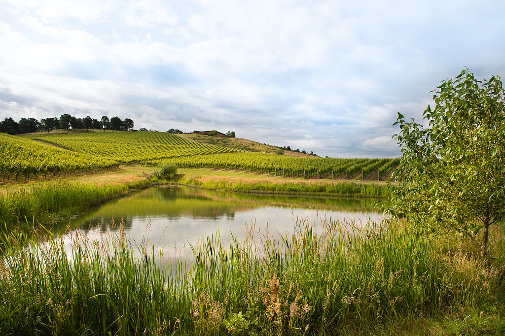 wine tours oregon coast