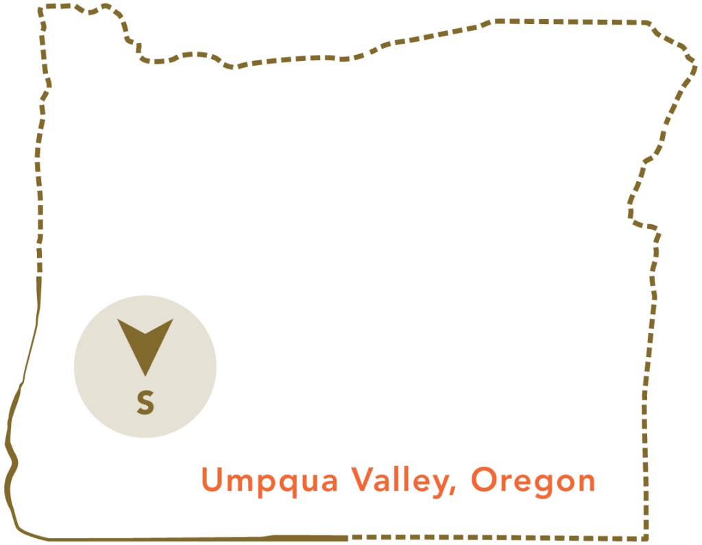 State outline of Oregon with the Umpqua Valley highlighted