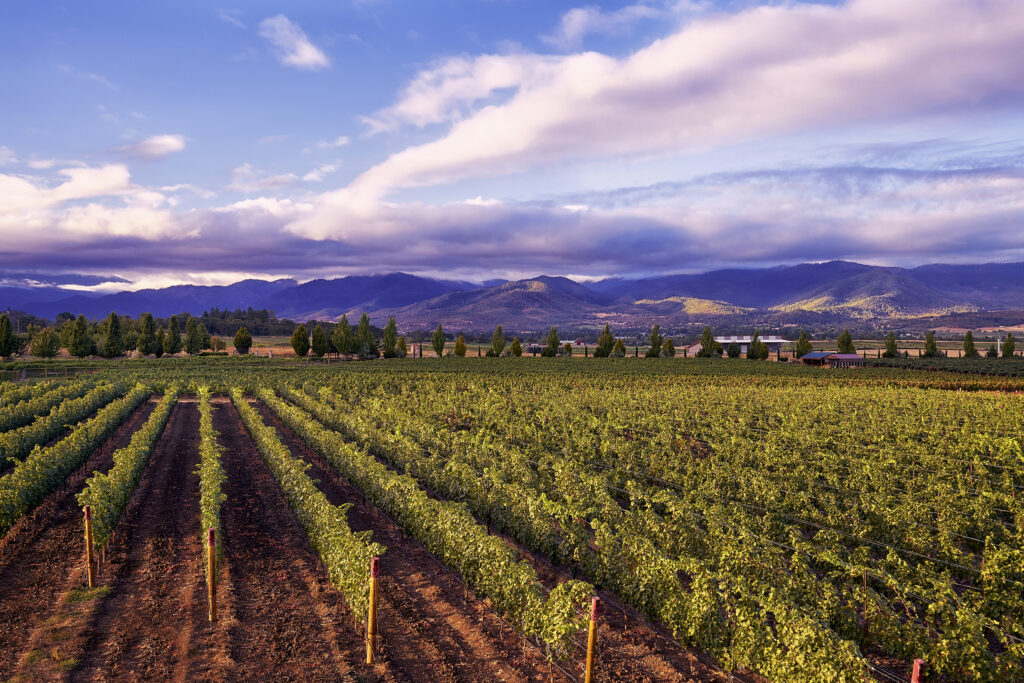 2Hawk Vineyard in the Rogue Valley AVA